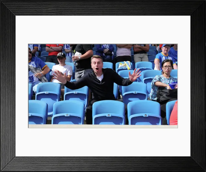 Framed Print : Brighton & Hove Albion vs Leicester City: 2022 / 23 Premier League Clash at American Express Community Stadium (September 4, 2022) Framed Print : Brighton & Hove Albion vs Leicester City: 2022 / 23 Premier League Clash at American Express Community Stadium (September 4, 2022)