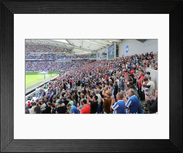 Framed Print : Premier League Showdown: Brighton & Hove Albion vs. Leicester City (04SEP22)