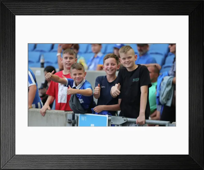 Framed Print : Brighton & Hove Albion vs Leicester City: 2022 / 23 Premier League Battle at American Express Community Stadium Framed Print : Brighton & Hove Albion vs Leicester City: 2022 / 23 Premier League Battle at American Express Community Stadium