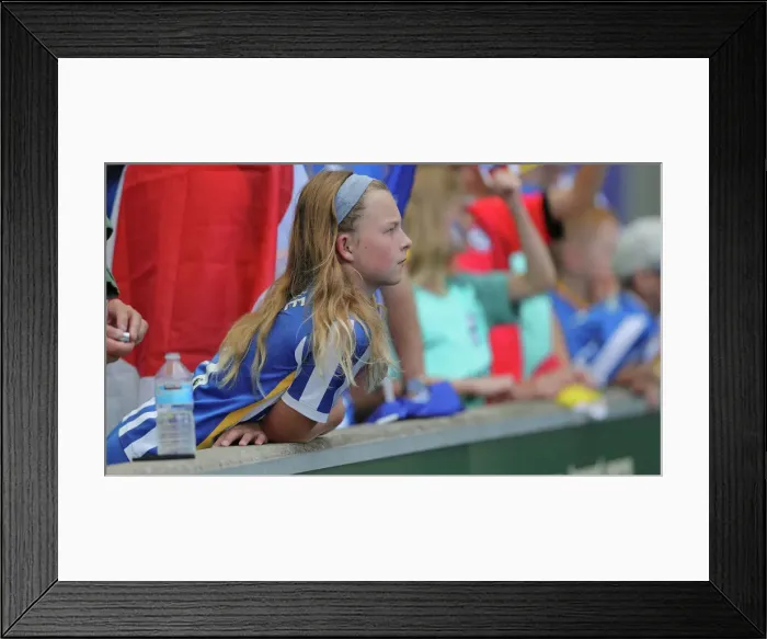 Framed Print : Brighton and Hove Albion vs Leicester City: 2022 / 23 Premier League Battle at American Express Community Stadium (September 4) Framed Print : Brighton and Hove Albion vs Leicester City: 2022 / 23 Premier League Battle at American Express Community Stadium (September 4)
