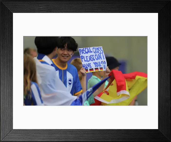 Framed Print : Brighton & Hove Albion vs. Leicester City: 2022 / 23 Premier League Showdown at American Express Community Stadium Framed Print : Brighton & Hove Albion vs. Leicester City: 2022 / 23 Premier League Showdown at American Express Community Stadium