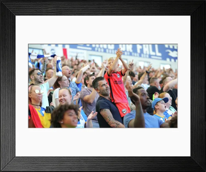Framed Print : Brighton & Hove Albion vs. Leicester City: 2022 / 23 Premier League Battle at American Express Community Stadium Framed Print : Brighton & Hove Albion vs. Leicester City: 2022 / 23 Premier League Battle at American Express Community Stadium