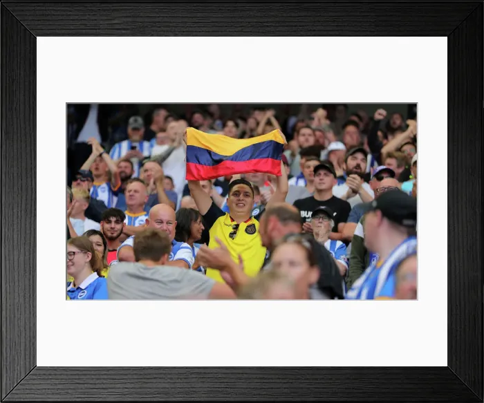 Framed Print : Brighton & Hove Albion vs. Leicester City: 2022 / 23 Premier League Showdown at American Express Community Stadium Framed Print : Brighton & Hove Albion vs. Leicester City: 2022 / 23 Premier League Showdown at American Express Community Stadium