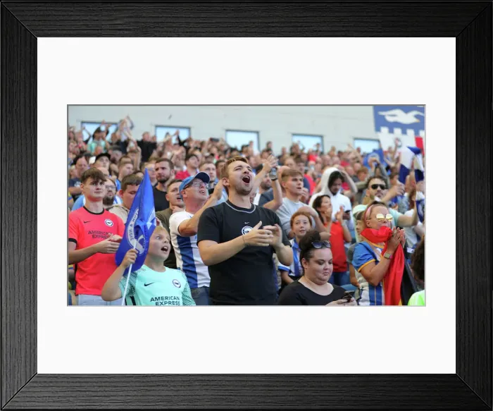 Framed Print : Brighton vs. Leicester: 2022 / 23 Premier League Battle at American Express Community Stadium (September 4) Framed Print : Brighton vs. Leicester: 2022 / 23 Premier League Battle at American Express Community Stadium (September 4)