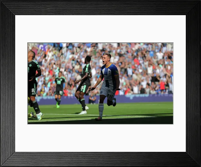 Framed Print : Brighton & Hove Albion vs. Leicester City: 2022 / 23 Premier League Clash at American Express Community Stadium (September 4, 2022) Framed Print : Brighton & Hove Albion vs. Leicester City: 2022 / 23 Premier League Clash at American Express Community Stadium (September 4, 2022)