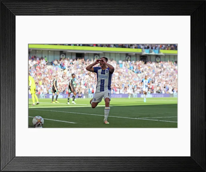 Framed Print : Brighton & Hove Albion vs Leicester City: 2022 / 23 Premier League Battle at American Express Community Stadium Framed Print : Brighton & Hove Albion vs Leicester City: 2022 / 23 Premier League Battle at American Express Community Stadium