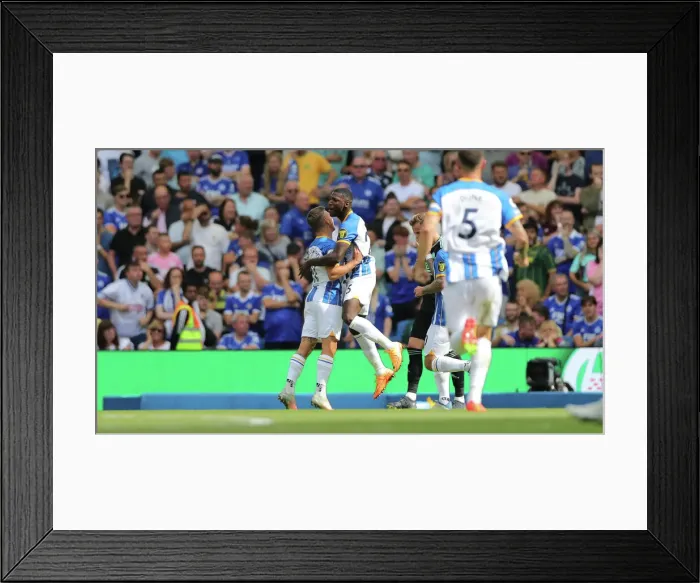 Framed Print : Brighton & Hove Albion vs. Leicester City: 2022 / 23 Premier League Showdown at American Express Community Stadium Framed Print : Brighton & Hove Albion vs. Leicester City: 2022 / 23 Premier League Showdown at American Express Community Stadium