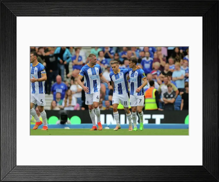 Framed Print : Brighton & Hove Albion vs Leicester City: 2022 / 23 Premier League Showdown at American Express Community Stadium Framed Print : Brighton & Hove Albion vs Leicester City: 2022 / 23 Premier League Showdown at American Express Community Stadium
