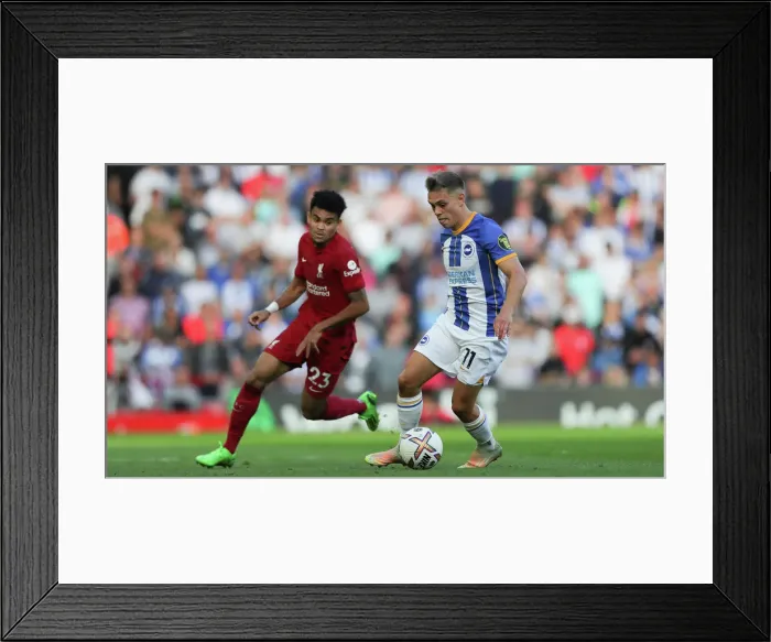 Framed Print : Intense Premier League Showdown: Liverpool vs. Brighton and Hove Albion (1st October 2022) Framed Print : Intense Premier League Showdown: Liverpool vs. Brighton and Hove Albion (1st October 2022)