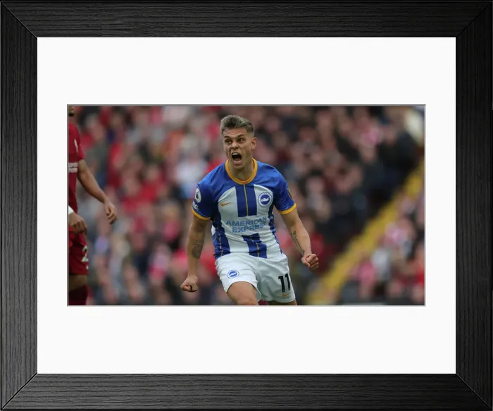 Framed Print : Intense Premier League Showdown: Liverpool vs. Brighton & Hove Albion at Anfield (1st October 2022) Framed Print : Intense Premier League Showdown: Liverpool vs. Brighton & Hove Albion at Anfield (1st October 2022)