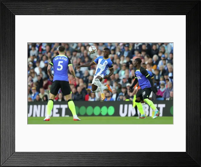 Framed Print : Brighton & Hove Albion vs. Tottenham Hotspur: 2022 / 23 Premier League Battle at American Express Community Stadium (October 8th) Framed Print : Brighton & Hove Albion vs. Tottenham Hotspur: 2022 / 23 Premier League Battle at American Express Community Stadium (October 8th)