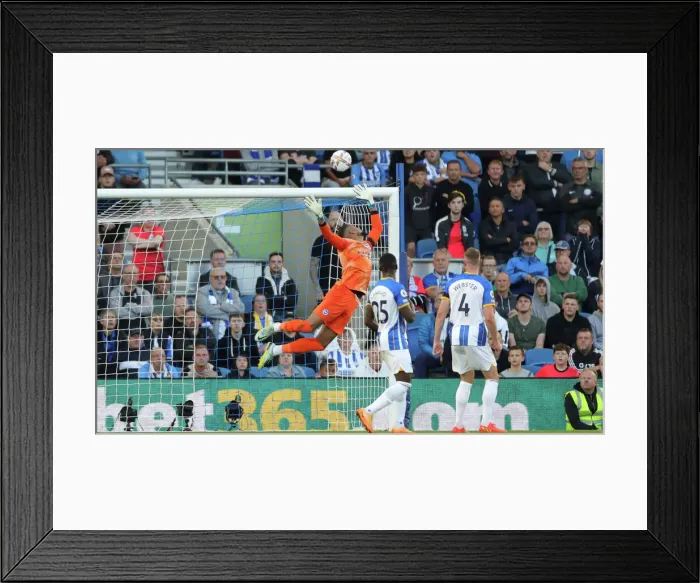 Framed Print : Brighton & Hove Albion vs. Tottenham Hotspur: 2022 / 23 Premier League Clash at American Express Community Stadium (October 8th)