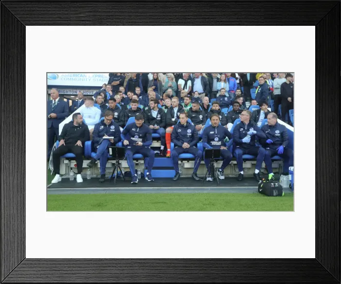 Framed Print : Brighton & Hove Albion vs. Tottenham Hotspur: 2022 / 23 Premier League Clash at American Express Community Stadium (October 8th) Framed Print : Brighton & Hove Albion vs. Tottenham Hotspur: 2022 / 23 Premier League Clash at American Express Community Stadium (October 8th)
