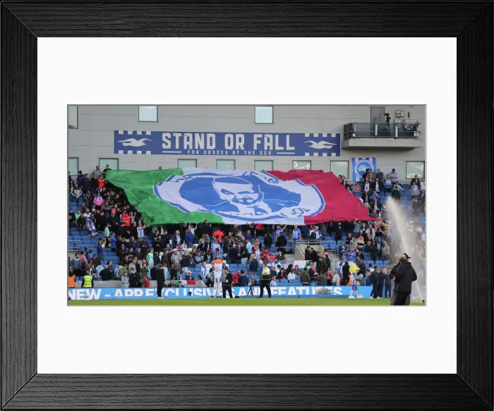 Framed Print : Brighton & Hove Albion vs. Tottenham Hotspur: 2022 / 23 Premier League Clash at American Express Community Stadium (October 8th)