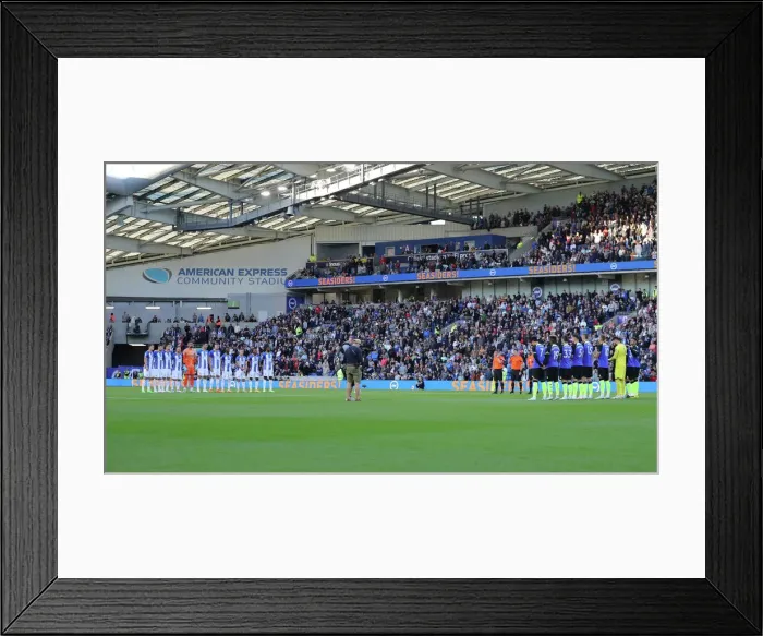 Framed Print : Brighton & Hove Albion vs. Tottenham Hotspur: 2022 / 23 Premier League Clash at American Express Community Stadium (8th October)