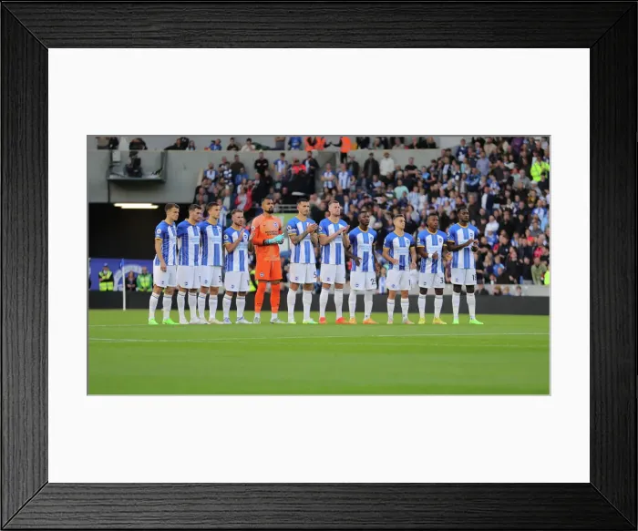 Framed Print : Brighton and Hove Albion vs. Tottenham Hotspur: 2022 / 23 Premier League Clash at American Express Community Stadium (8th October)