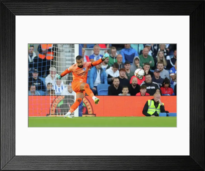Framed Print : Brighton and Hove Albion vs. Tottenham Hotspur: 2022 / 23 Premier League Clash at American Express Community Stadium (8th October)