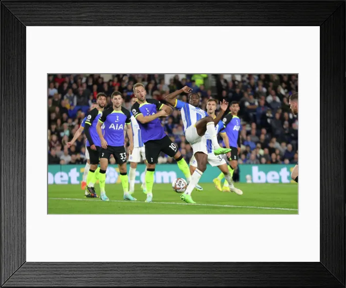 Framed Print : Brighton & Hove Albion vs. Tottenham Hotspur: 2022 / 23 Premier League Clash at American Express Community Stadium (October 8th) Framed Print : Brighton & Hove Albion vs. Tottenham Hotspur: 2022 / 23 Premier League Clash at American Express Community Stadium (October 8th)