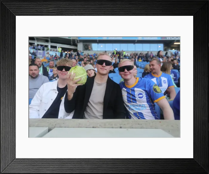 Framed Print : Brighton & Hove Albion vs. Tottenham Hotspur: 2022 / 23 Premier League Clash at American Express Community Stadium (8th October) Framed Print : Brighton & Hove Albion vs. Tottenham Hotspur: 2022 / 23 Premier League Clash at American Express Community Stadium (8th October)