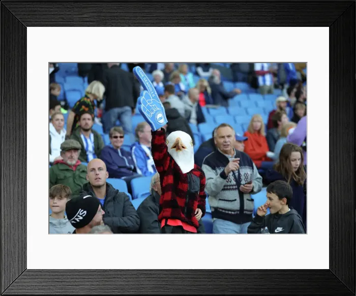 Framed Print : Brighton vs. Tottenham: Intense Premier League Clash at American Express Community Stadium (08OCT22)