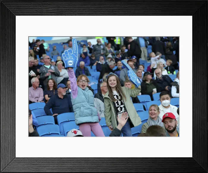 Framed Print : Brighton & Hove Albion vs. Tottenham Hotspur: 2022 / 23 Premier League Clash at American Express Community Stadium (October 8th) Framed Print : Brighton & Hove Albion vs. Tottenham Hotspur: 2022 / 23 Premier League Clash at American Express Community Stadium (October 8th)