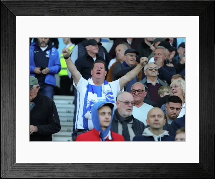 Framed Print : Brighton & Hove Albion vs. Tottenham Hotspur: 2022 / 23 Premier League Clash at American Express Community Stadium (October 8th)