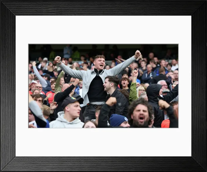 Framed Print : Manchester City vs. Brighton and Hove Albion: A Premier League Battle at Etihad Stadium (22OCT22) Framed Print : Manchester City vs. Brighton and Hove Albion: A Premier League Battle at Etihad Stadium (22OCT22)