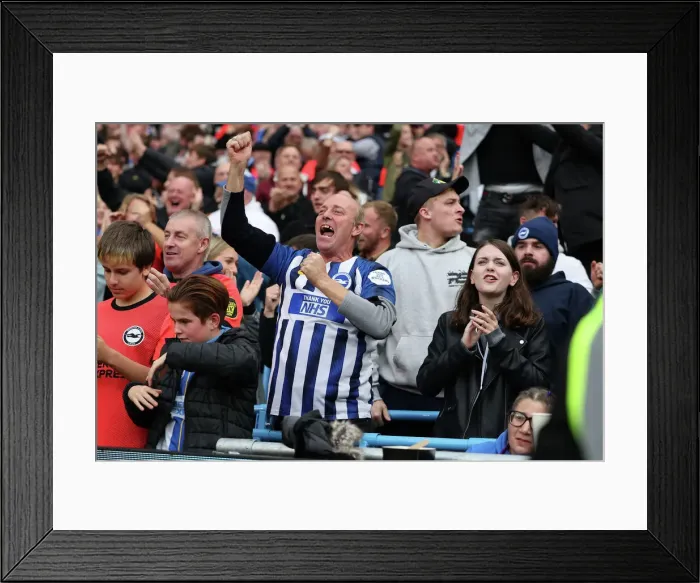 Framed Print : Manchester City vs. Brighton and Hove Albion: 2022 / 23 Premier League Clash at Etihad Stadium (22OCT22) Framed Print : Manchester City vs. Brighton and Hove Albion: 2022 / 23 Premier League Clash at Etihad Stadium (22OCT22)