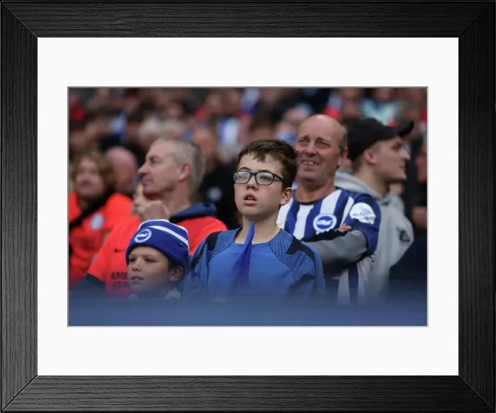 Framed Print : Manchester City vs. Brighton and Hove Albion: 2022 / 23 Premier League Clash at Etihad Stadium (22OCT22)