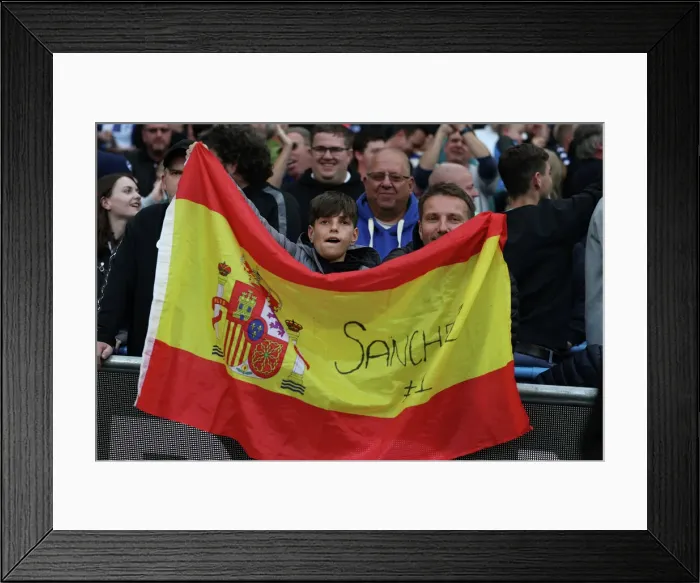 Framed Print : Manchester City vs. Brighton and Hove Albion: 2022 / 23 Premier League Showdown at Etihad Stadium (22OCT22) Framed Print : Manchester City vs. Brighton and Hove Albion: 2022 / 23 Premier League Showdown at Etihad Stadium (22OCT22)
