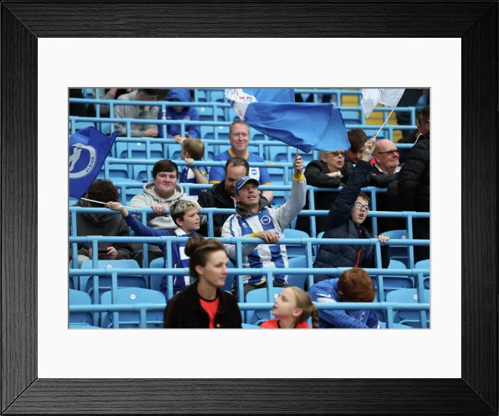 Framed Print : Manchester City vs. Brighton and Hove Albion: A Premier League Battle at Etihad Stadium (22OCT22)