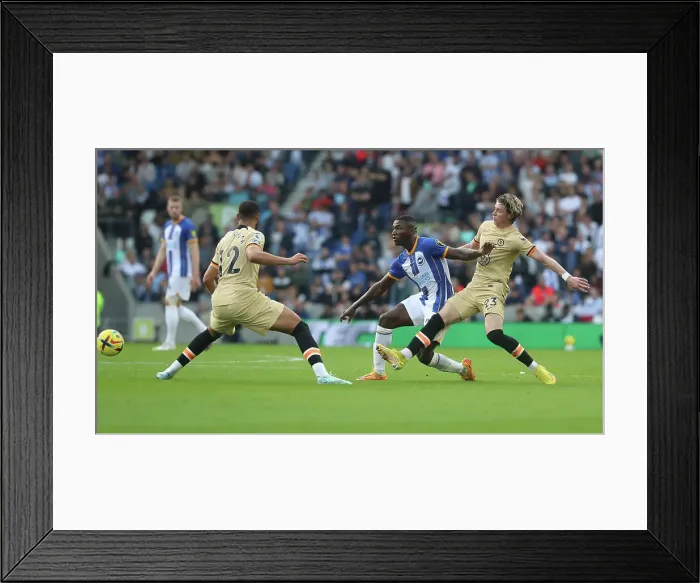 Framed Print : Intense Premier League Showdown: Brighton & Hove Albion vs. Chelsea (29th November 2022) Framed Print : Intense Premier League Showdown: Brighton & Hove Albion vs. Chelsea (29th November 2022)