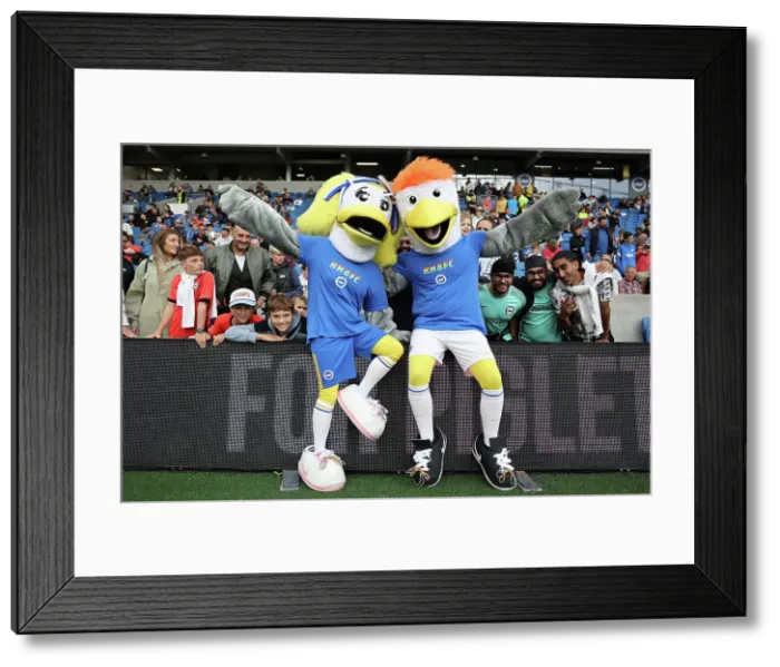 Framed Print : Intense Premier League Showdown: Brighton & Hove Albion vs. Chelsea (29.11.22) Framed Print : Intense Premier League Showdown: Brighton & Hove Albion vs. Chelsea (29.11.22)