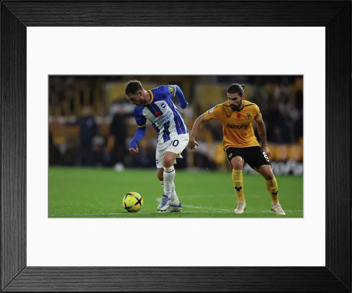 Framed Print : A Battle at Molineux: Premier League Showdown between Wolverhampton Wanderers and Brighton & Hove Albion (5th November 2022) Framed Print : A Battle at Molineux: Premier League Showdown between Wolverhampton Wanderers and Brighton & Hove Albion (5th November 2022)