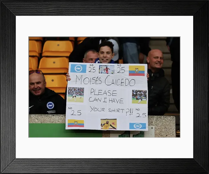Framed Print : Premier League Showdown: Wolverhampton Wanderers vs. Brighton and Hove Albion - November 5, 2023: A Battle at Molineux