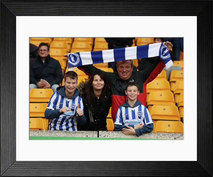 Framed Print : 5 Nov 2023: Wolverhampton Wanderers vs Brighton and Hove Albion - Premier League Clash at Molineux Stadium Framed Print : 5 Nov 2023: Wolverhampton Wanderers vs Brighton and Hove Albion - Premier League Clash at Molineux Stadium