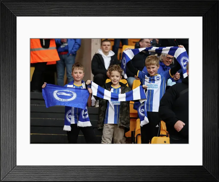 Framed Print : Intense Premier League Showdown: Wolverhampton Wanderers vs. Brighton & Hove Albion (5 Nov 2022) Framed Print : Intense Premier League Showdown: Wolverhampton Wanderers vs. Brighton & Hove Albion (5 Nov 2022)
