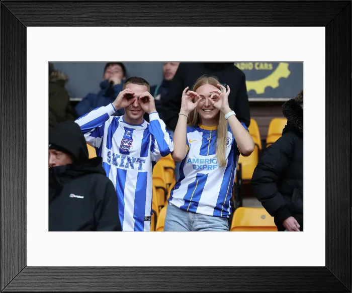 Framed Print : Premier League Showdown: Wolverhampton Wanderers vs. Brighton and Hove Albion (5 Nov 2022) Framed Print : Premier League Showdown: Wolverhampton Wanderers vs. Brighton and Hove Albion (5 Nov 2022)