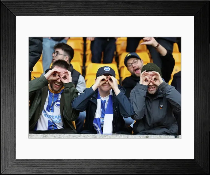 Framed Print : Intense Premier League Clash: Wolverhampton Wanderers vs. Brighton & Hove Albion (5 November 2022) Framed Print : Intense Premier League Clash: Wolverhampton Wanderers vs. Brighton & Hove Albion (5 November 2022)