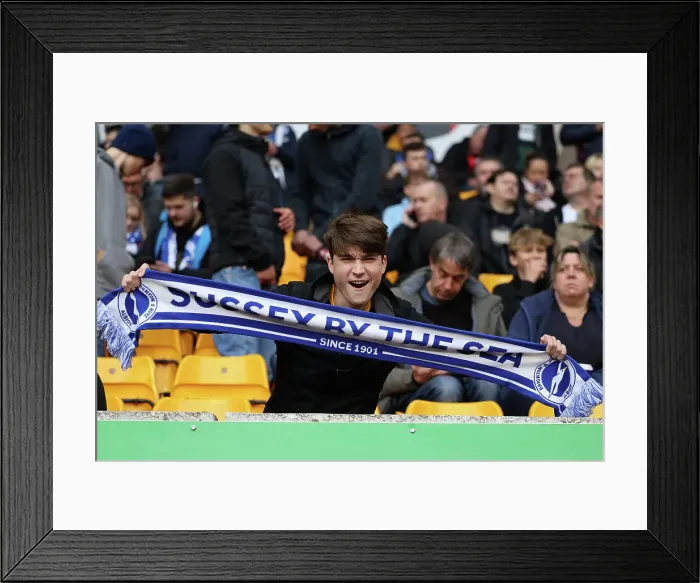 Framed Print : Premier League Battle: Wolverhampton Wanderers vs. Brighton and Hove Albion at Molineux Stadium (5 November 2022) Framed Print : Premier League Battle: Wolverhampton Wanderers vs. Brighton and Hove Albion at Molineux Stadium (5 November 2022)