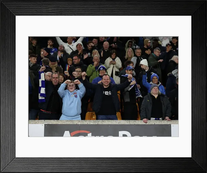 Framed Print : Premier League Battle: Wolverhampton Wanderers vs. Brighton and Hove Albion at Molineux Stadium (5 November 2022) Framed Print : Premier League Battle: Wolverhampton Wanderers vs. Brighton and Hove Albion at Molineux Stadium (5 November 2022)