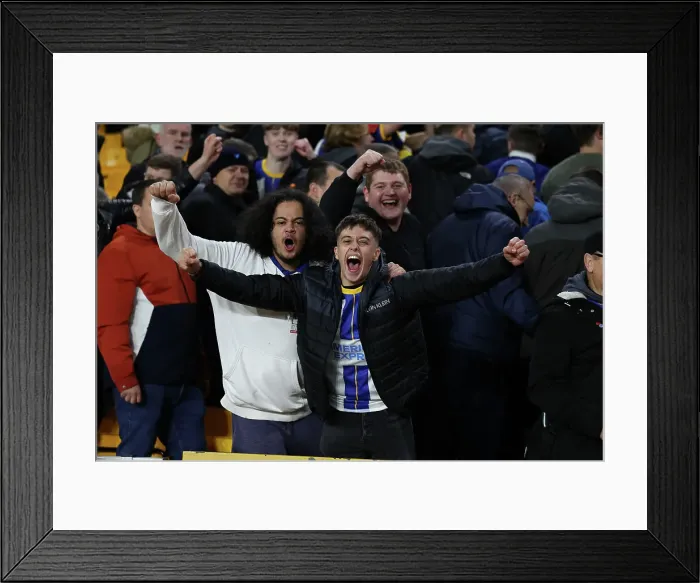 Framed Print : Intense Premier League Clash: Wolverhampton Wanderers vs. Brighton & Hove Albion (5 Nov 2022) Framed Print : Intense Premier League Clash: Wolverhampton Wanderers vs. Brighton & Hove Albion (5 Nov 2022)