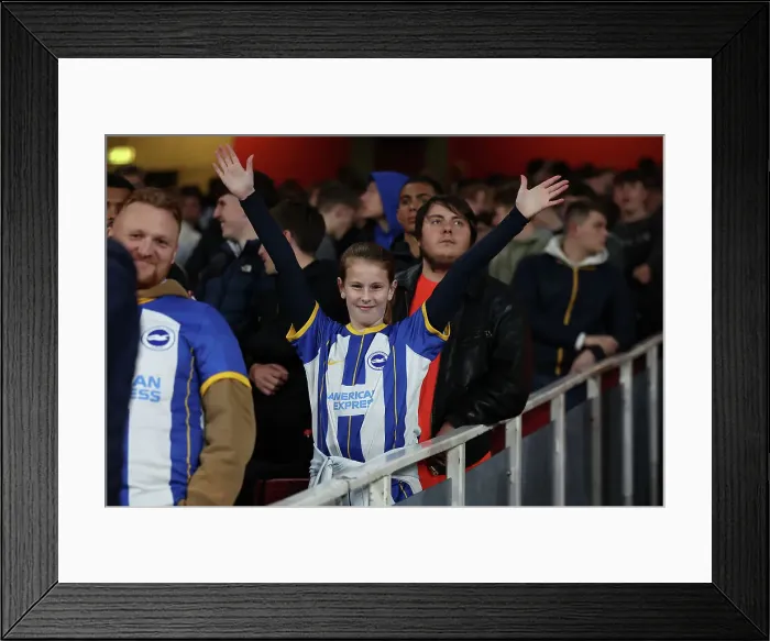 Framed Print : Carabao Cup Clash: Arsenal vs. Brighton & Hove Albion at Emirates Stadium (Nov. 9, 2022) Framed Print : Carabao Cup Clash: Arsenal vs. Brighton & Hove Albion at Emirates Stadium (Nov. 9, 2022)