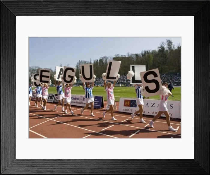 Framed Print : Brighton & Hove Albion: 2009-10 Season - Home Match Against Bristol Rovers