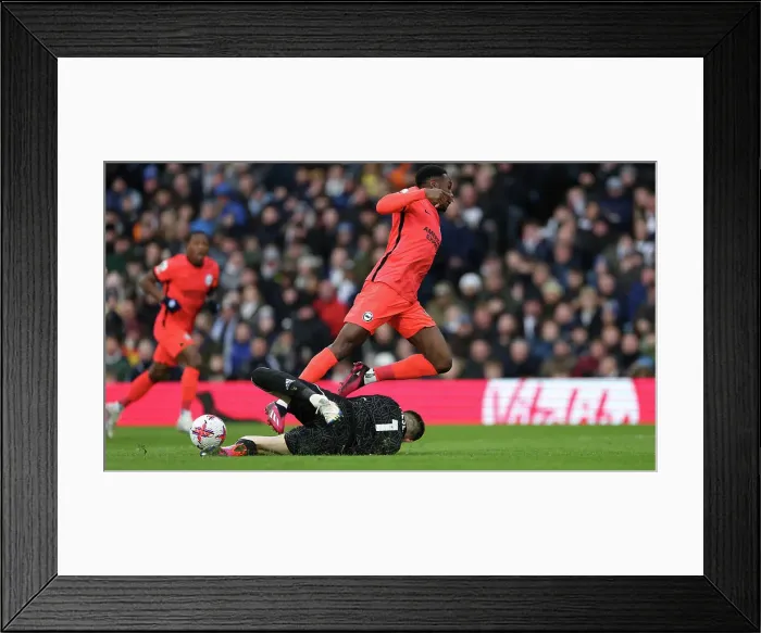 Framed Print : Premier League Showdown: Leeds United vs. Brighton and Hove Albion (11MAR23)