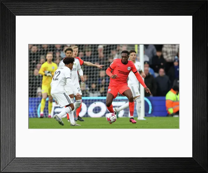 Framed Print : Premier League Showdown: Leeds United vs. Brighton & Hove Albion (11MAR23)