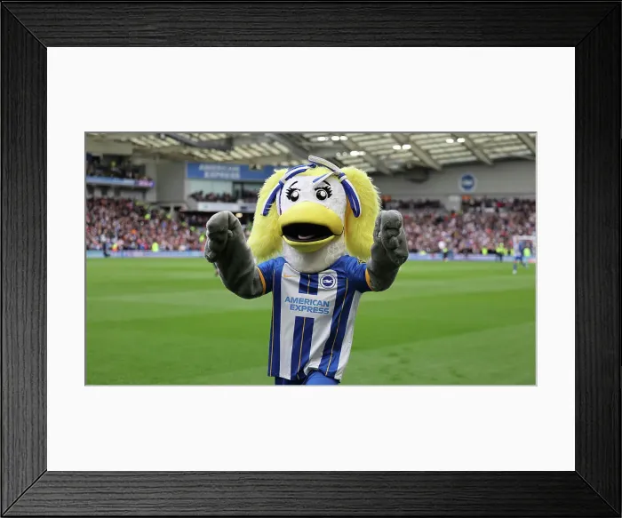 Framed Print : FA Cup Quarter-Final Showdown: Brighton & Hove Albion vs. Grimsby Town (19MAR23)