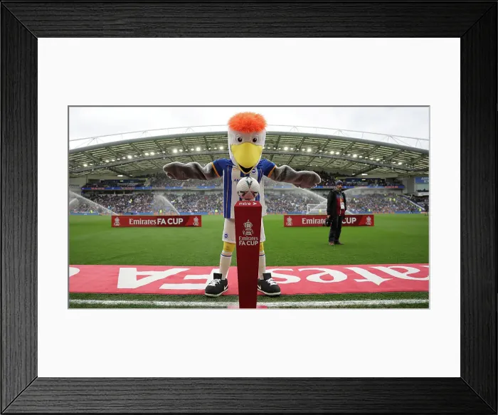 Framed Print : Brighton & Hove Albion vs. Grimsby Town: FA Cup Quarter-Final Showdown (2022 / 23) Framed Print : Brighton & Hove Albion vs. Grimsby Town: FA Cup Quarter-Final Showdown (2022 / 23)