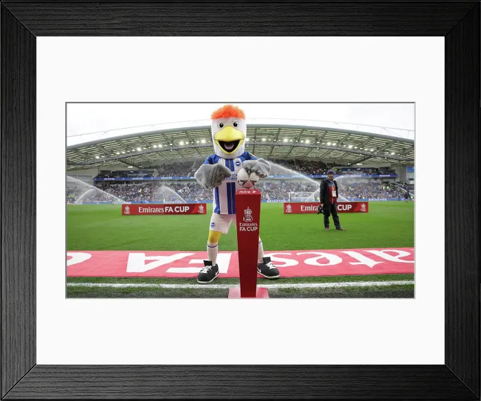 Framed Print : Brighton and Hove Albion vs. Grimsby Town: FA Cup Quarter-Final Battle (19MAR23) Framed Print : Brighton and Hove Albion vs. Grimsby Town: FA Cup Quarter-Final Battle (19MAR23)