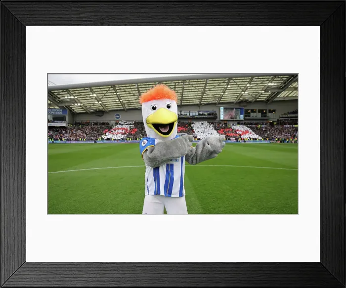 Framed Print : Brighton & Hove Albion vs. Grimsby Town: FA Cup Quarter-Final Showdown (2022 / 23) Framed Print : Brighton & Hove Albion vs. Grimsby Town: FA Cup Quarter-Final Showdown (2022 / 23)